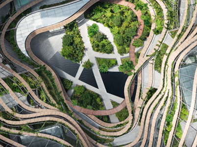 Landscape Architects